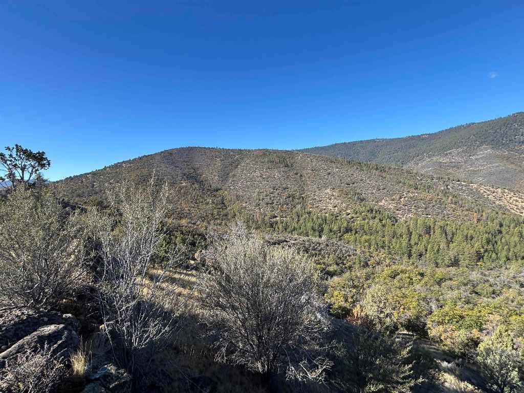 0 Guys Gulch Road Mount Shasta, CA 96067 - Photo 2 of 11 Gallery Image 2