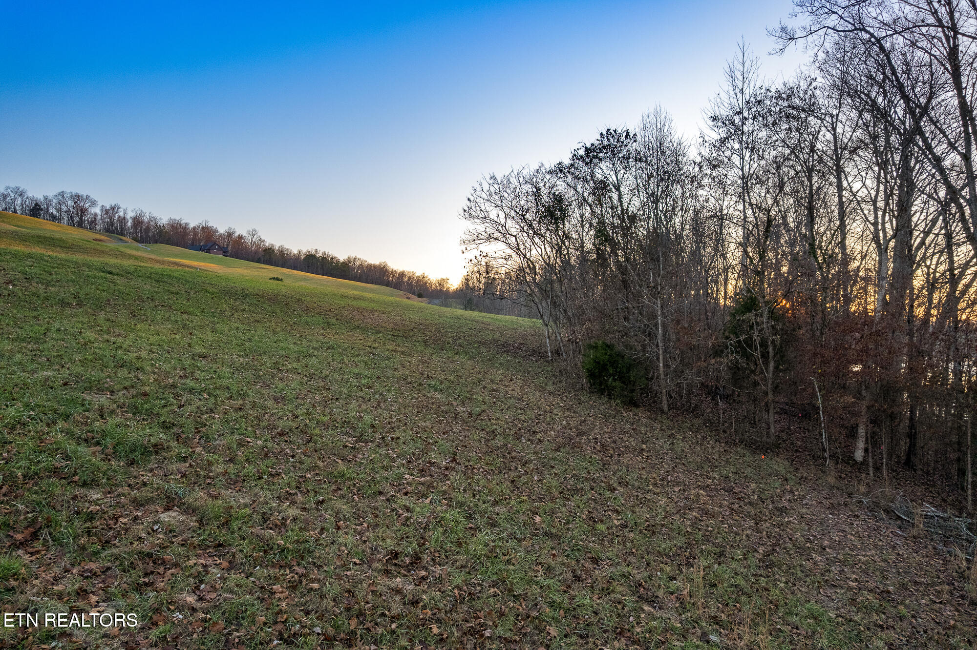 Lot 24 Mill Drive Decatur, TN 37322 - Photo 3 of 14 Lot 24 Mill Drive, Decatur Tn-6