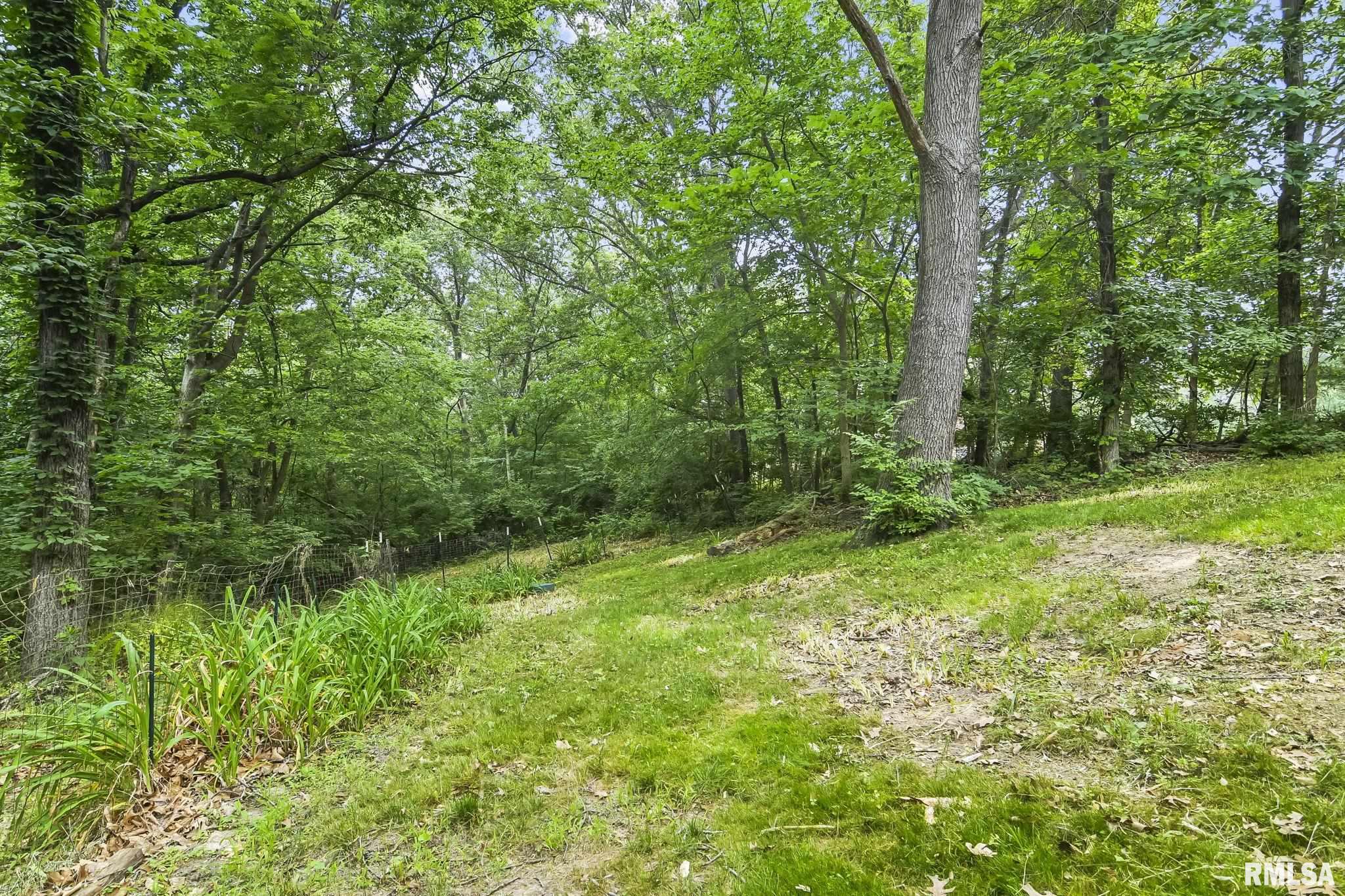 22950 Greenpass Road Athens, IL 62613 - Photo 53 of 53 Gallery Image 53