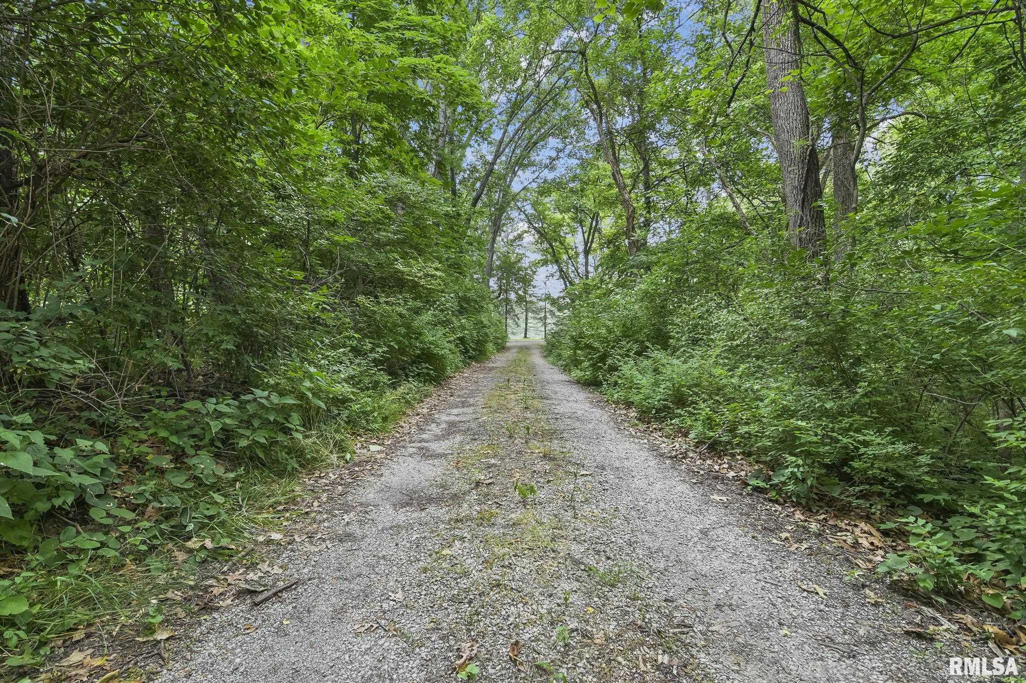 22950 Greenpass Road Athens, IL 62613 - Photo 9 of 53 Gallery Image 9