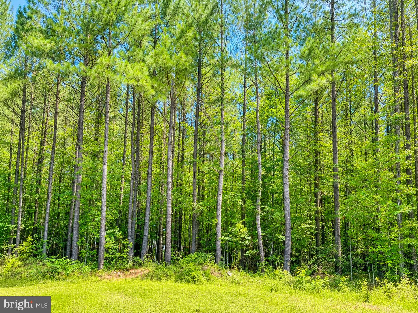 PREMIUM 2+ ACRE LOT