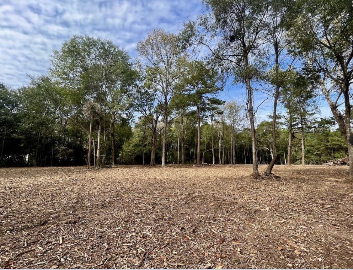 10690 Waukegan Road Conroe, TX 77306 - Photo 7 of 7 a view of outdoor space with trees