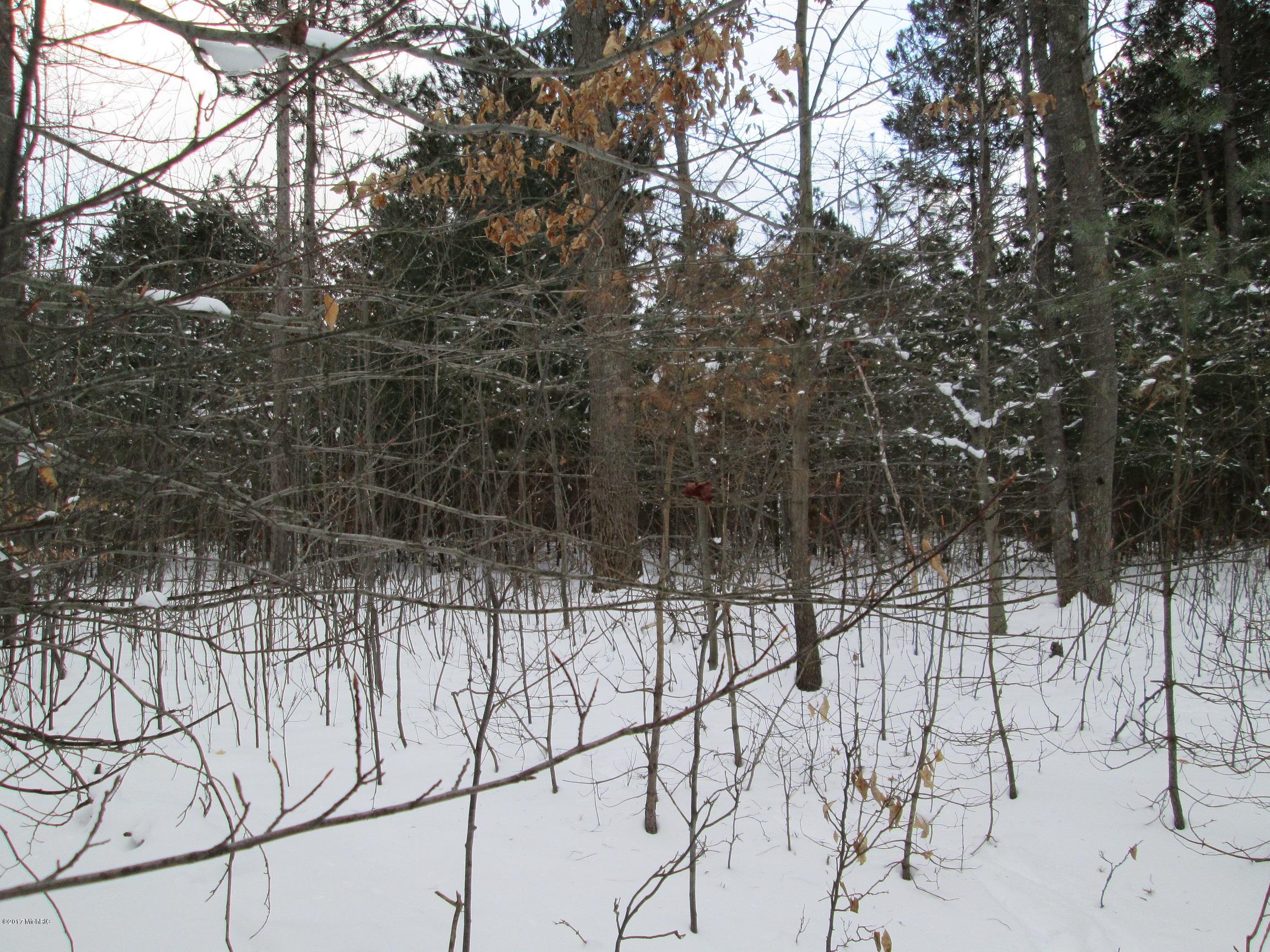 1324 East Tyler Road Hart, MI 49420 - Photo 14 of 16 IMG_0484