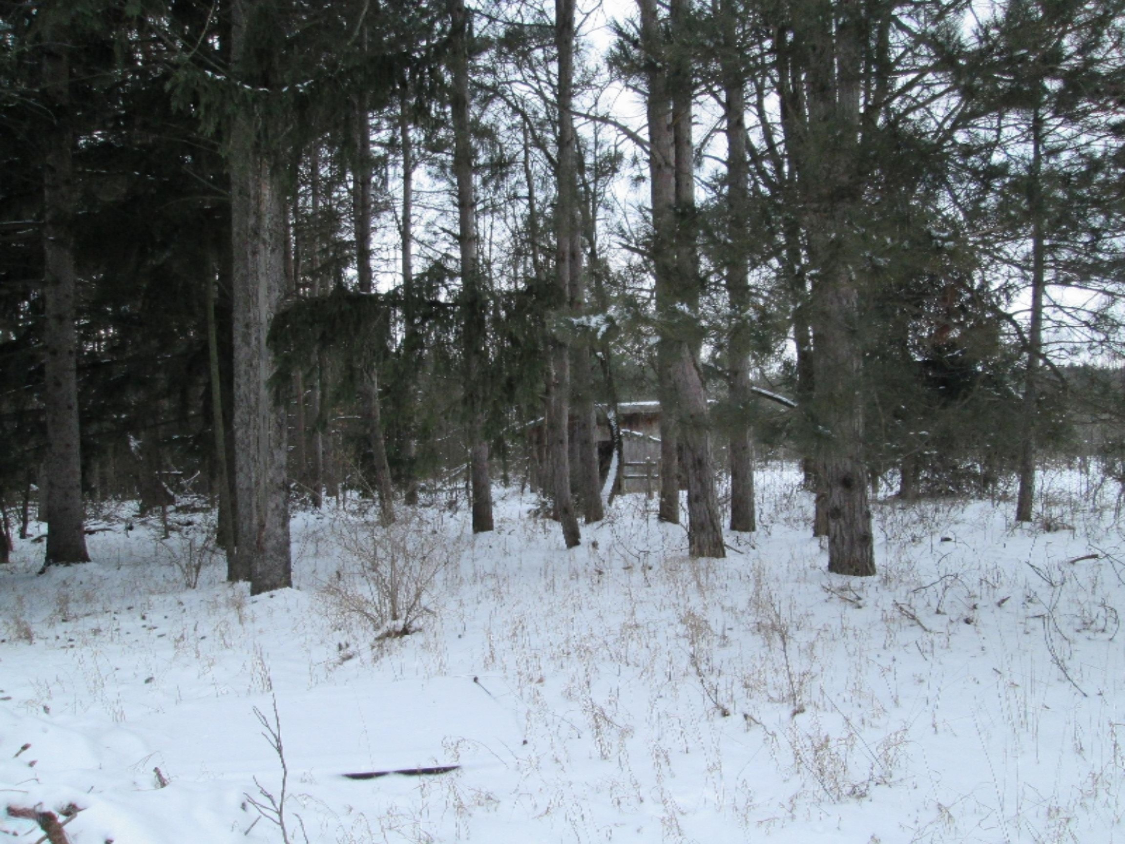1324 East Tyler Road Hart, MI 49420 - Photo 2 of 16 IMG_0441