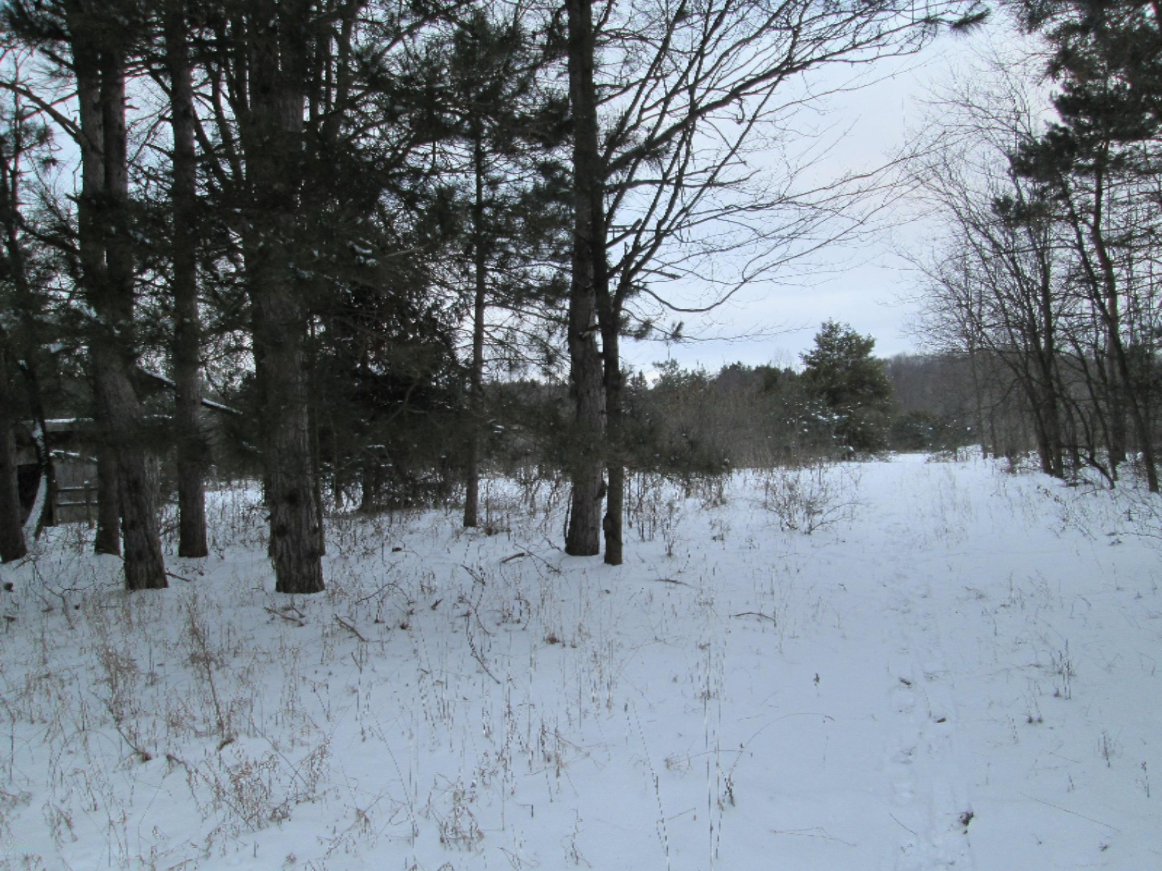 1324 East Tyler Road Hart, MI 49420 - Photo 3 of 16 IMG_0442