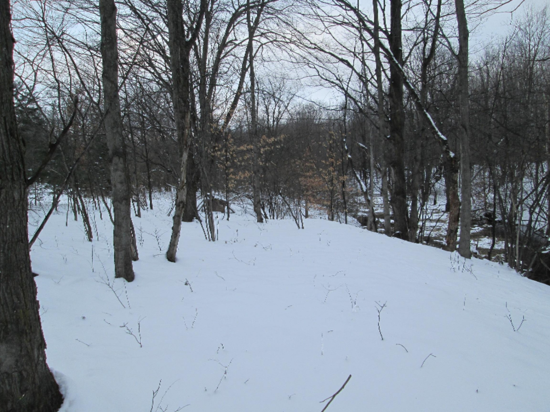1324 East Tyler Road Hart, MI 49420 - Photo 5 of 16 IMG_0453