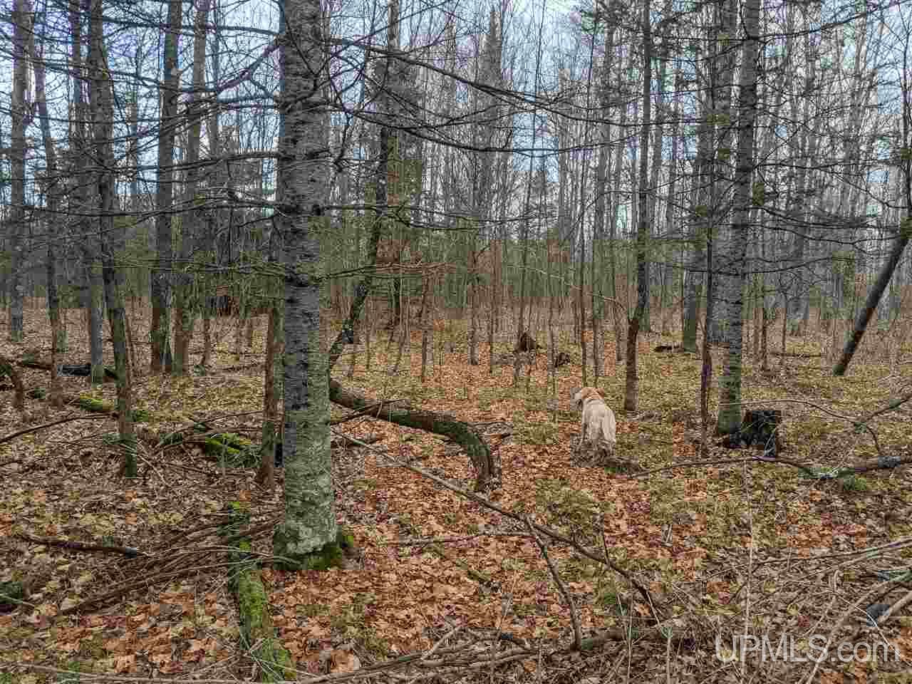 Tbd Tbd Unnamed Road Cornell, MI 49818 - Photo 1 of 10