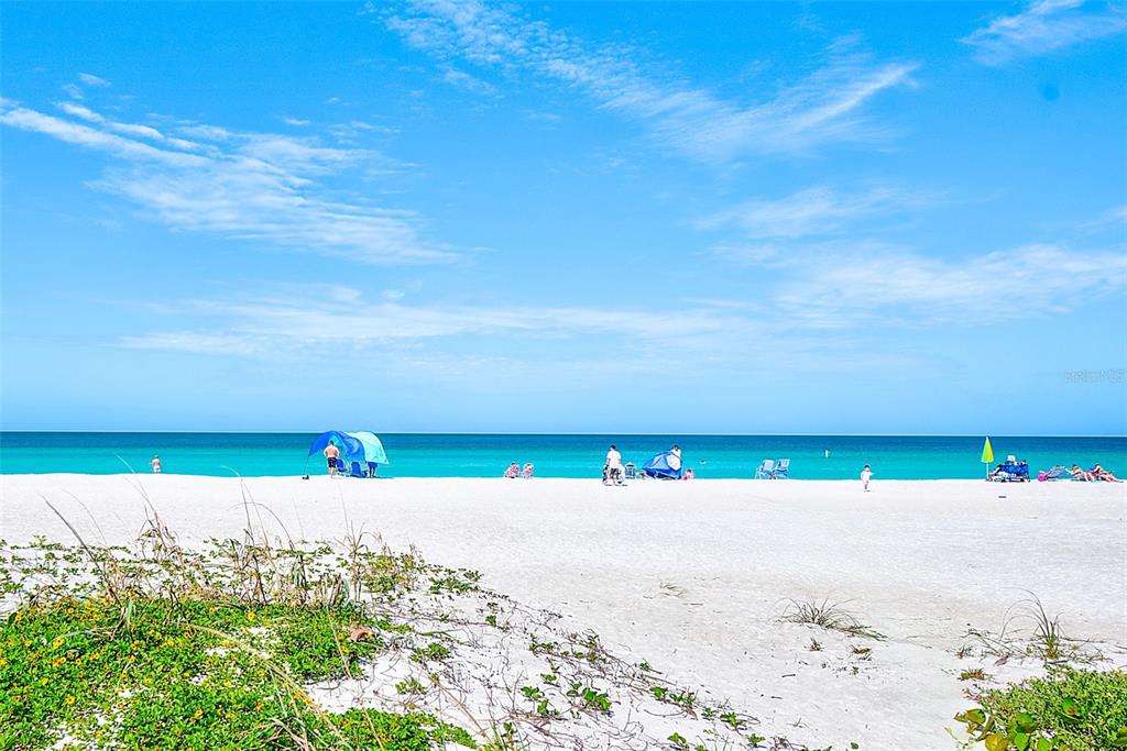 74 Gulf Boulevard, Unit 1B Indian Rocks Beach, FL 33785 - Photo 2 of 47