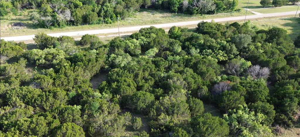 1129 County Road Nemo, TX 76070 - Photo 13 of 29 a view of a yard with plants and large trees