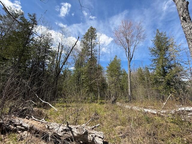 735 North Lakola Road Leroy, MI 49655 - Photo 3 of 15 IMG_5919