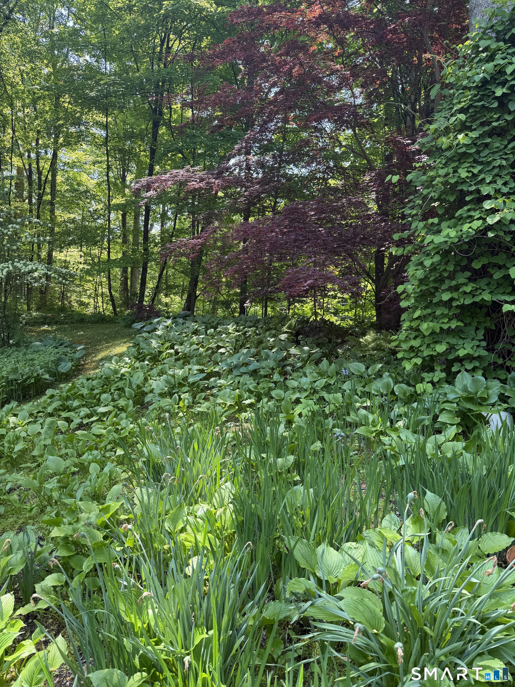 Southbury Road Roxbury, CT 06783 - Photo 3 of 3 a backyard of a house with lots of green space and trees all around