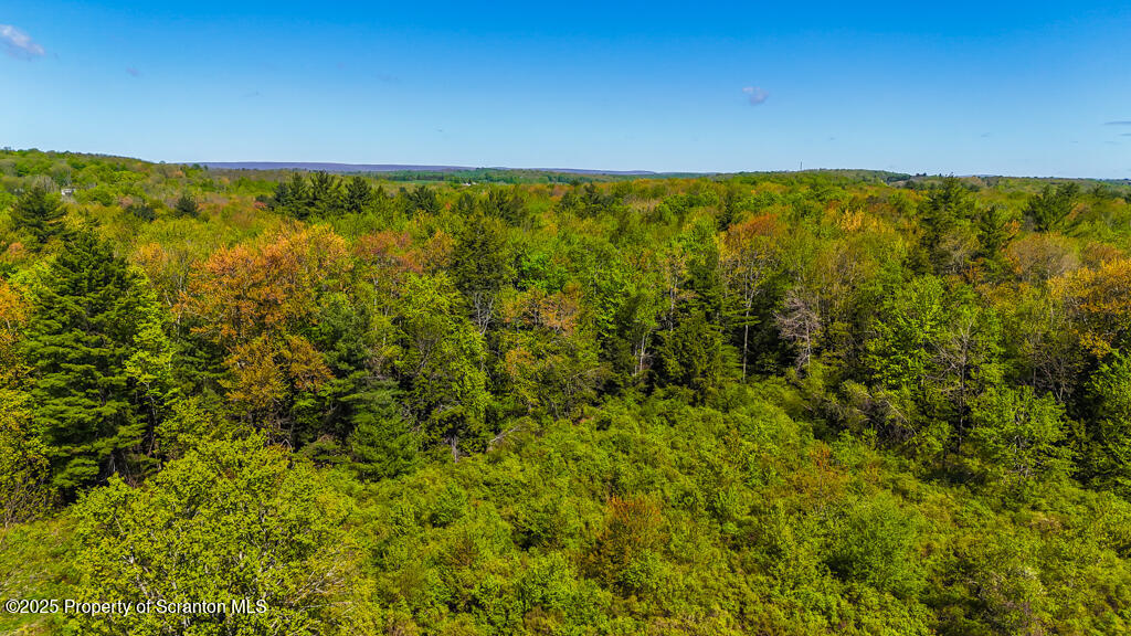 87 Goose Pond Road Lake Ariel, PA 18436 - Photo 6 of 10 DJI_20250510101614_0070_D