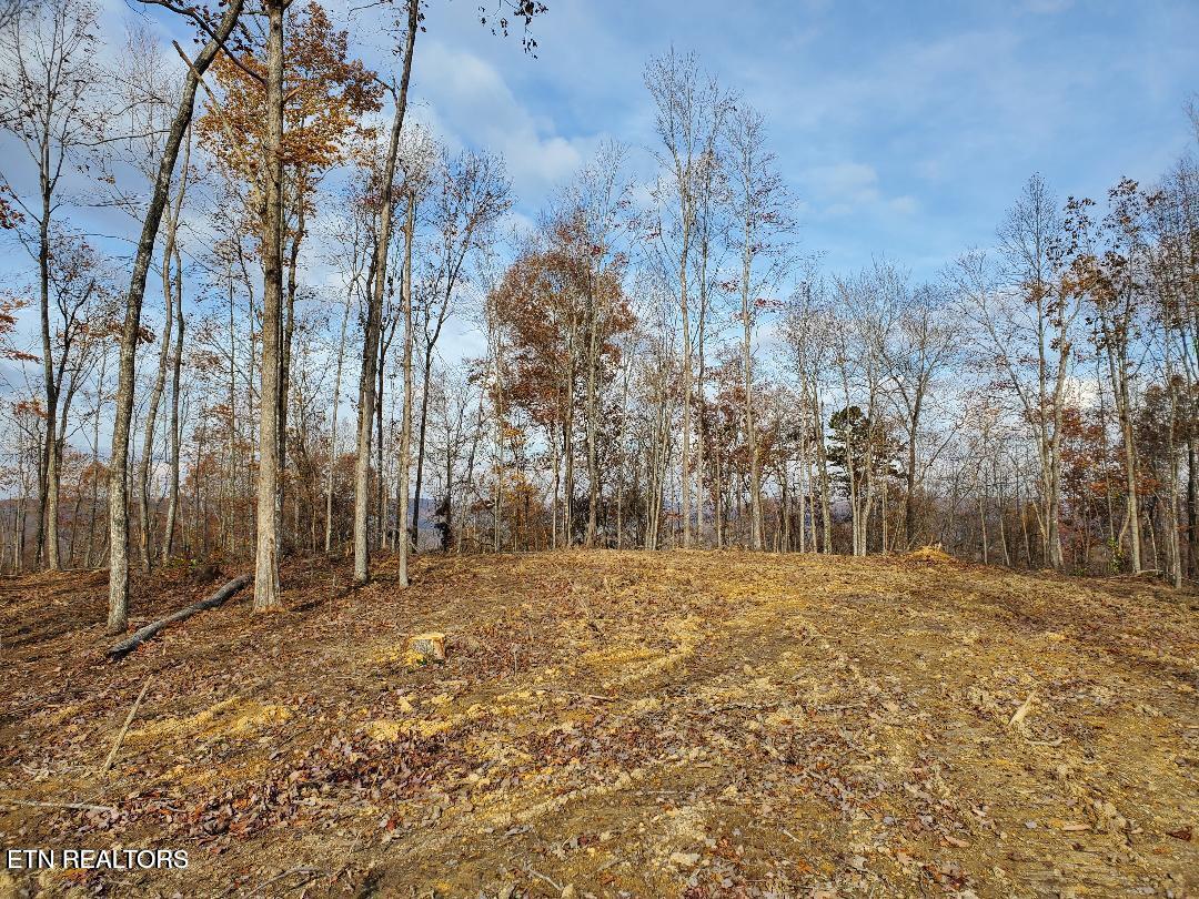 Bull Creek Road Huntsville, TN 37756 - Photo 6 of 12 20251107205900954195000000-o
