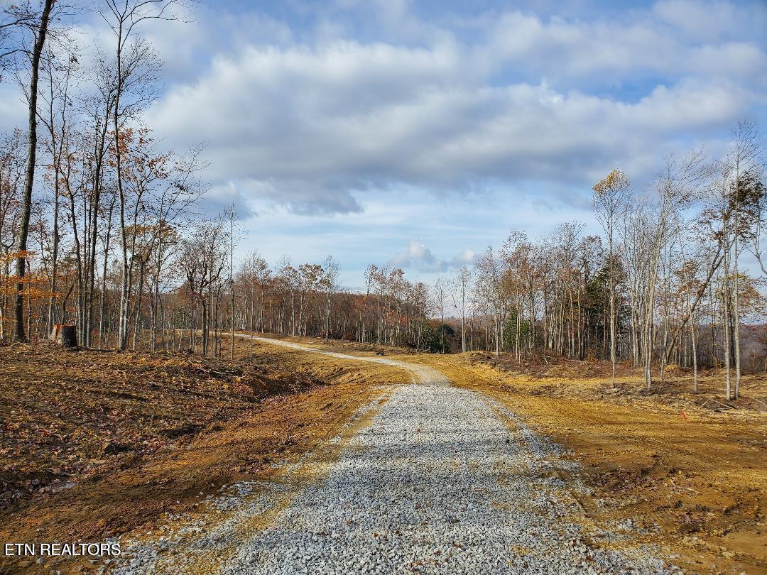 Bull Creek Road Huntsville, TN 37756 - Photo 7 of 12 20251107205852948271000000-o