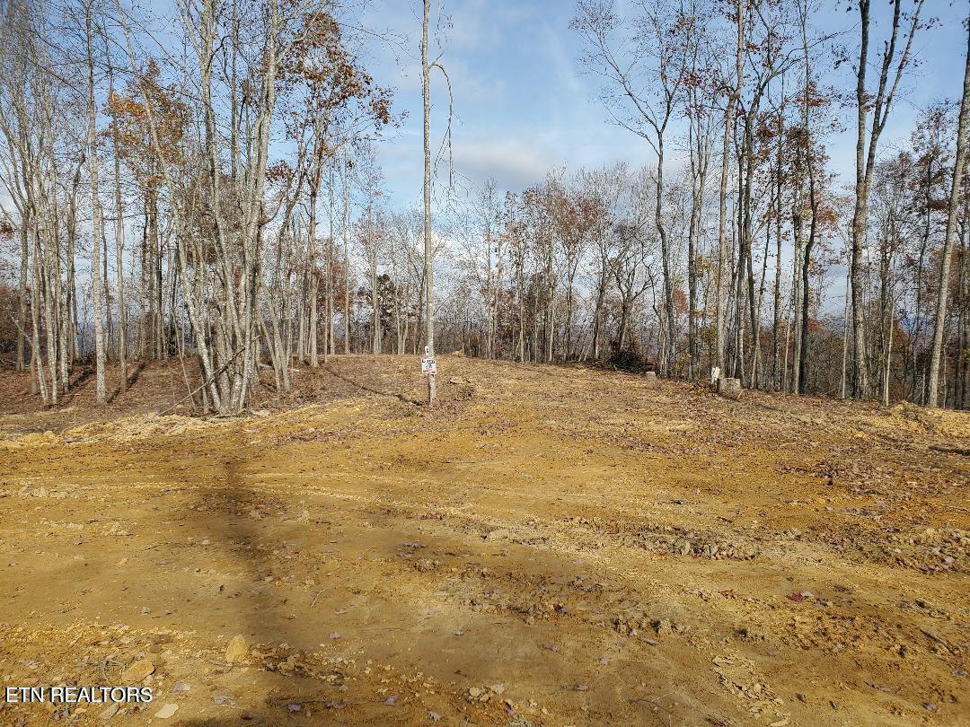 Bull Creek Road Huntsville, TN 37756 - Photo 10 of 12 20251107205846610789000000-o-4