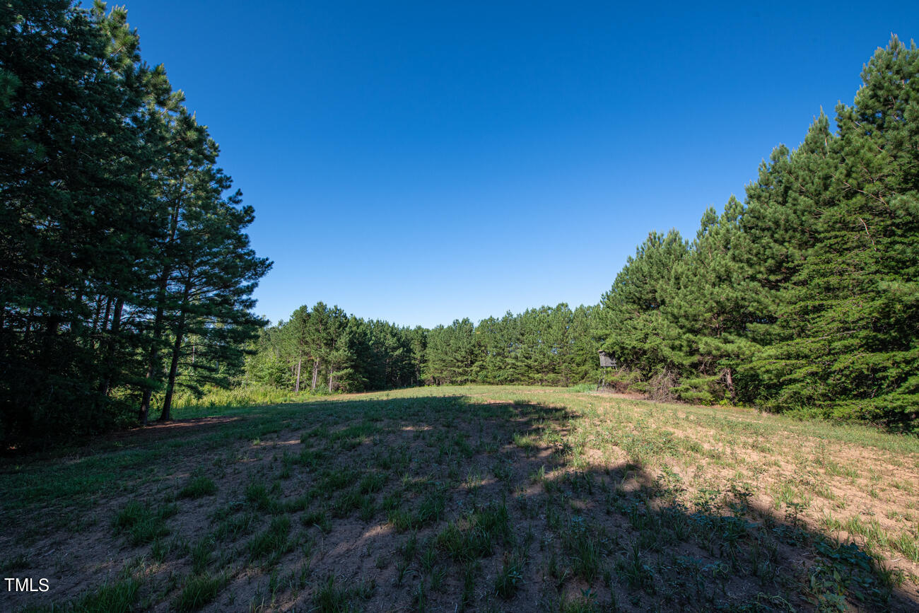 1094 Bethesda Church Road Ruffin, NC 27326 - Photo 23 of 48 Howe MLS Pics-5785
