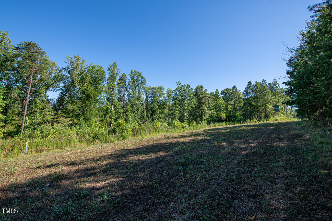 1094 Bethesda Church Road Ruffin, NC 27326 - Photo 30 of 48 Howe MLS Pics-5824