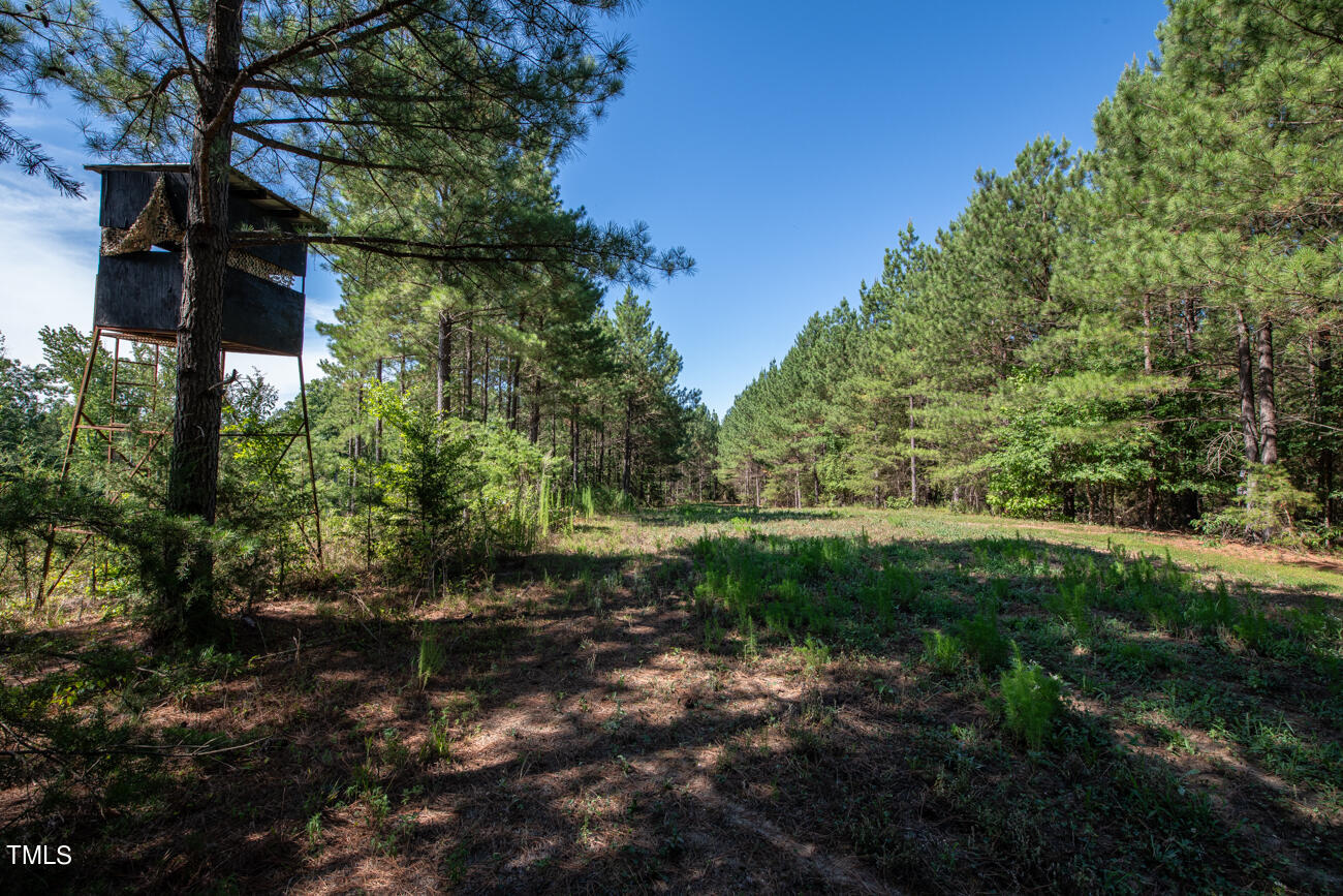 1094 Bethesda Church Road Ruffin, NC 27326 - Photo 34 of 48 Howe MLS Pics-5854
