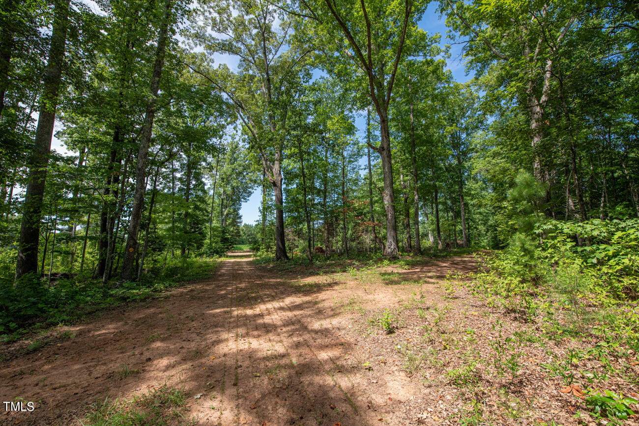 1094 Bethesda Church Road Ruffin, NC 27326 - Photo 47 of 48 Howe MLS Pics-5920