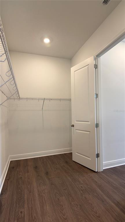 14409 Crest Palm Avenue Windermere, FL 34786 - Photo 14 of 57