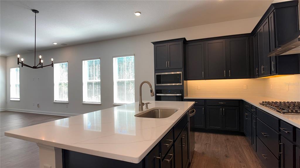 14409 Crest Palm Avenue Windermere, FL 34786 - Photo 5 of 57