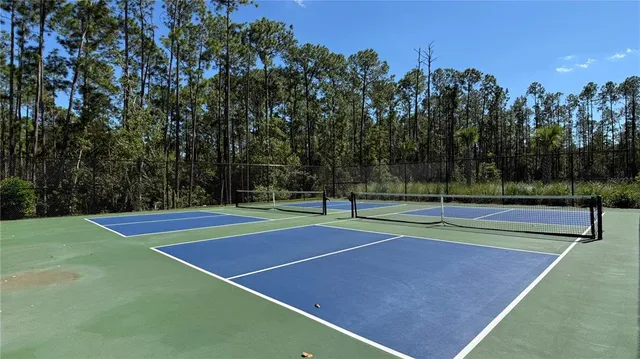 $4,500 | 14409 Crest Palm Avenue, Windermere, FL 34786