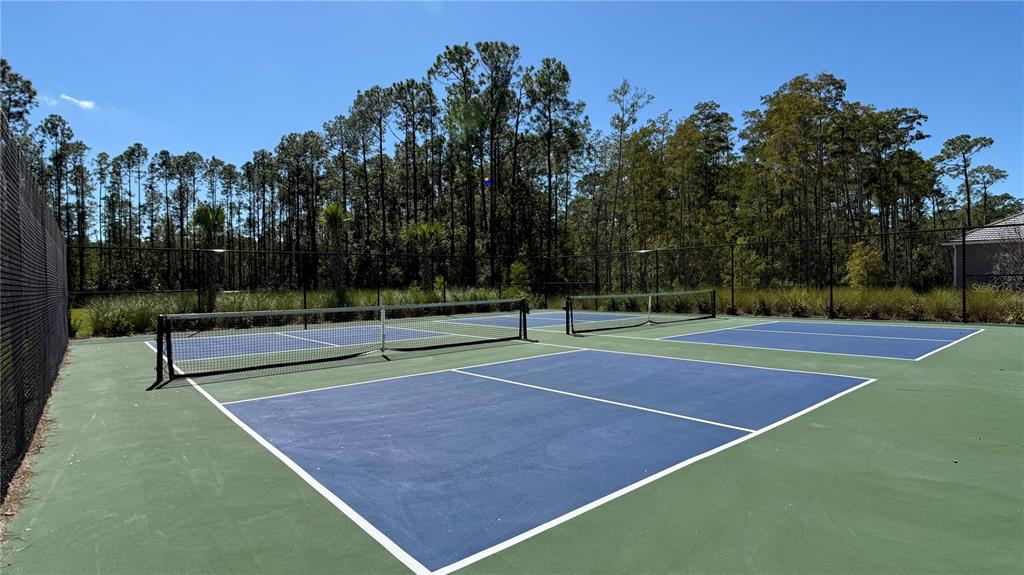 14409 Crest Palm Avenue Windermere, FL 34786 - Photo 53 of 57