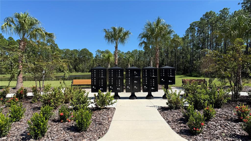 14409 Crest Palm Avenue Windermere, FL 34786 - Photo 56 of 57