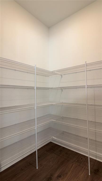 14409 Crest Palm Avenue Windermere, FL 34786 - Photo 9 of 57