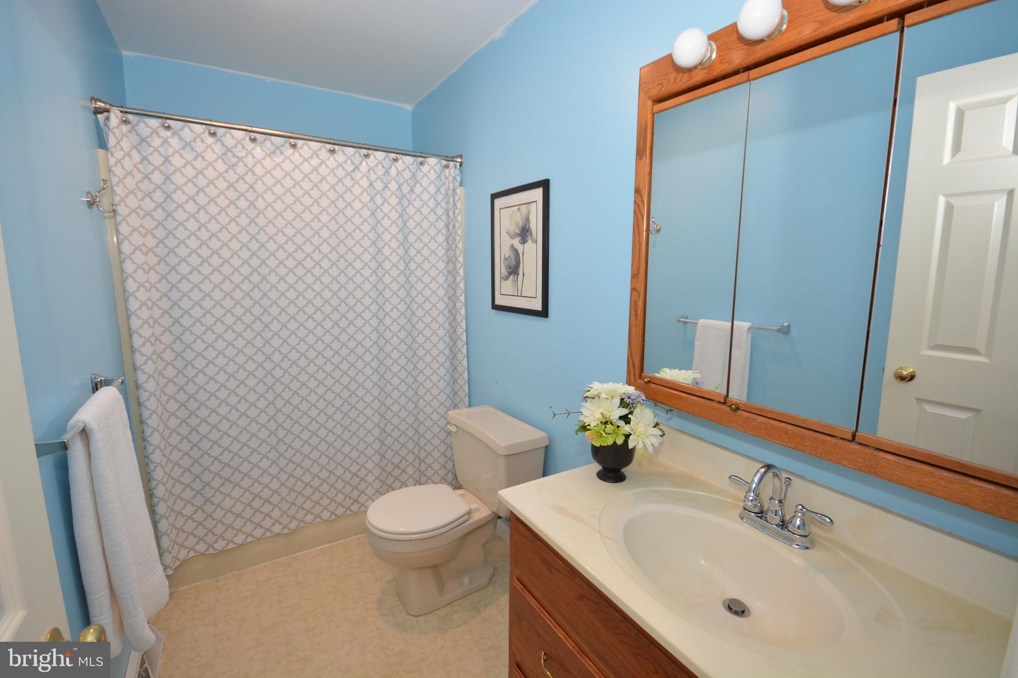 213 Bomberger Road Akron, PA 17501 - Photo 19 of 38 a bathroom with a sink a toilet and shower