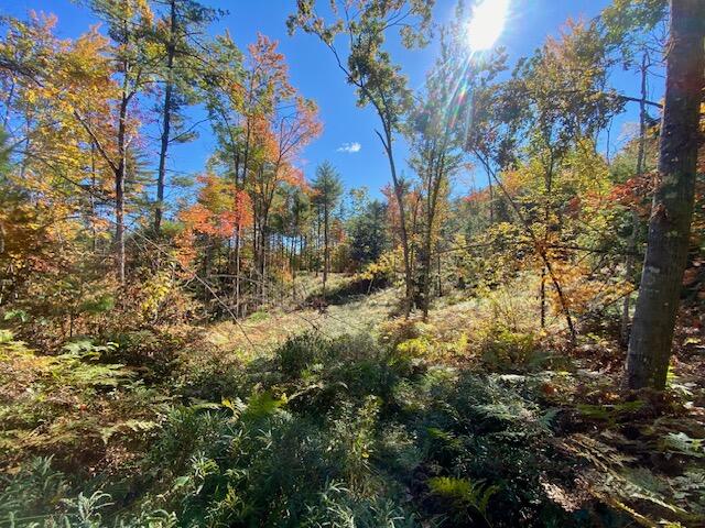 26-ac Spring Street Brownfield, ME 04010 - Photo 2 of 20 IMG_1829