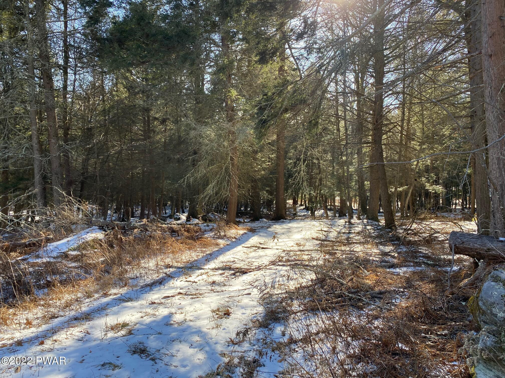 Calkins Road Milanville, PA 18443 - Photo 23 of 30