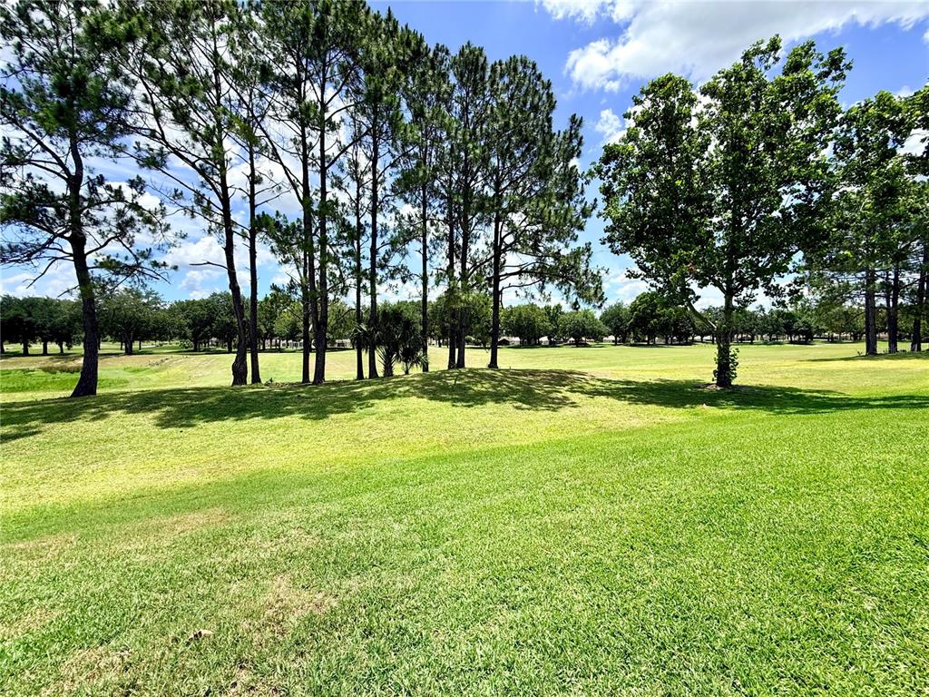 15597 Southwest 14th Avenue Road Ocala, FL 34473 - Photo 66 of 77