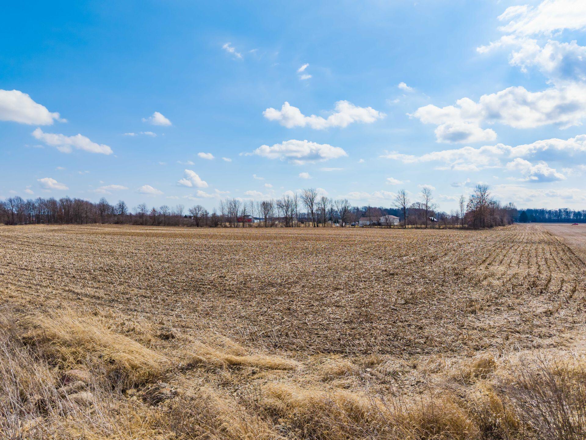0 Mink Street Road Ostrander, OH 43061 - Photo 4 of 15 003_Mink Street Rd Ohio USA