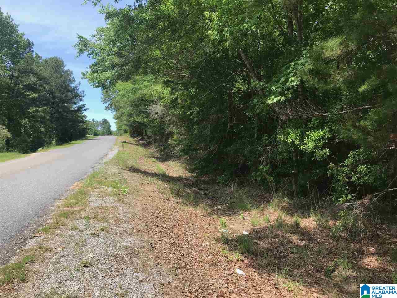 Firehouse Road, Unit 21 Goodwater, AL 35072 - Photo 20 of 21