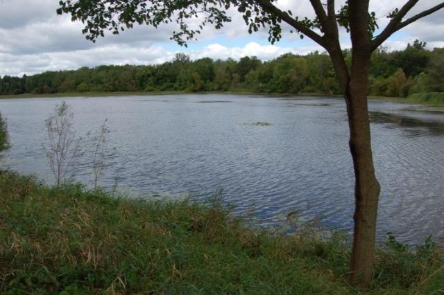 0 South Hillsdale Road Reading, MI 49274 - Photo 1 of 10 DSC_6523 (1)