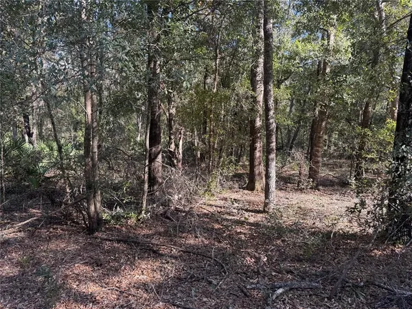 $47,999 | 4 Northeast 123rd Court, Archer, FL 32618