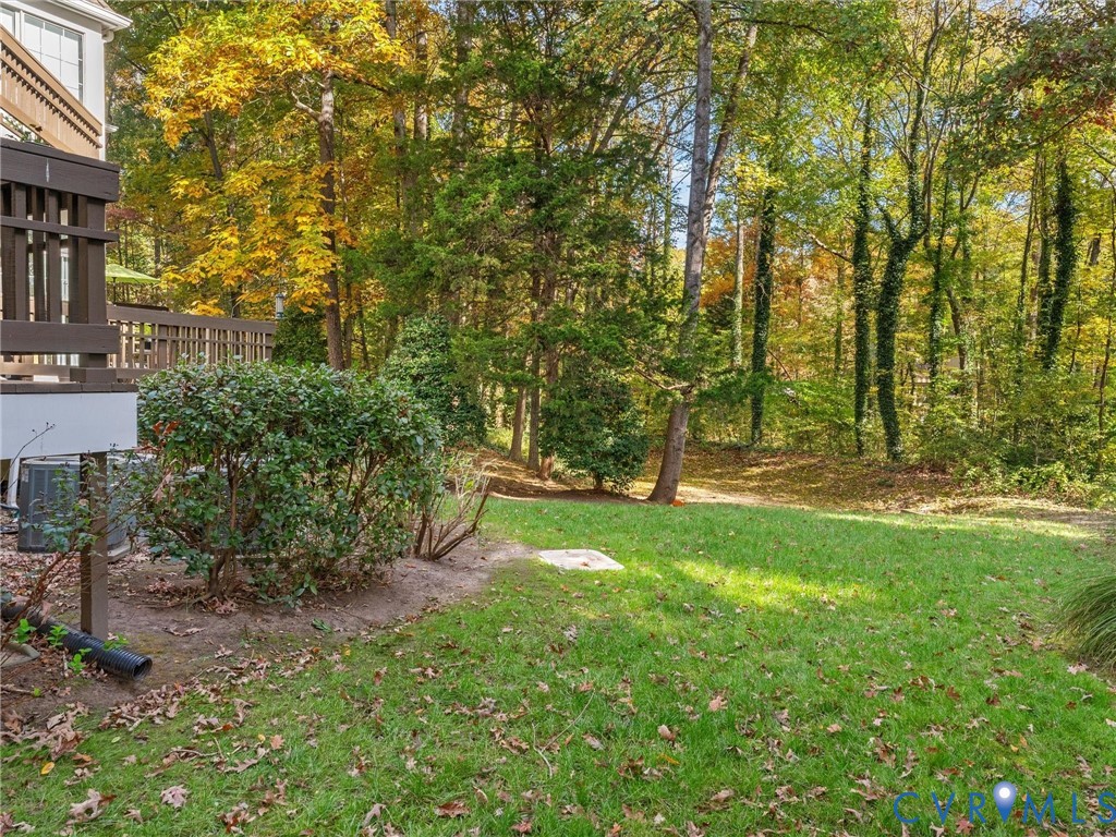 1781 Raintree Commons Drive Henrico, VA 23238 - Photo 30 of 31 Lucious, green landscaping