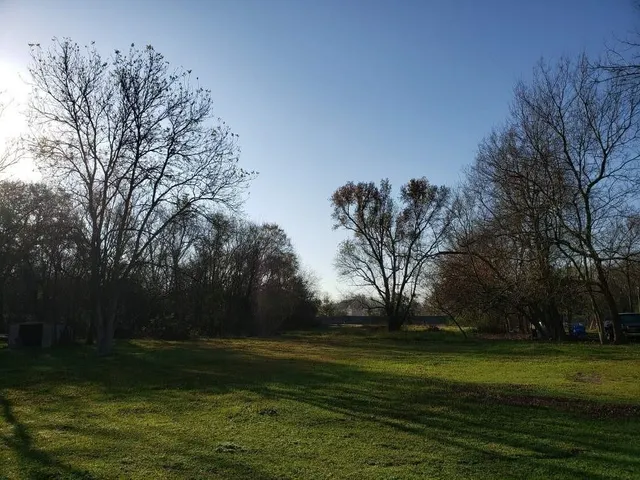 a backyard of a house with lots of green space
