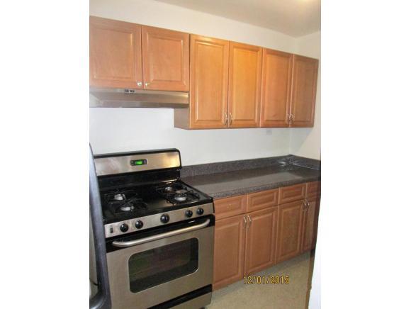 310 Lenox Road, Unit 4S Brooklyn, NY 11226 - Photo 7 of 10 Gallery Image 7
