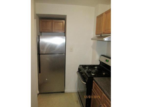 310 Lenox Road, Unit 4S Brooklyn, NY 11226 - Photo 8 of 10 Gallery Image 8