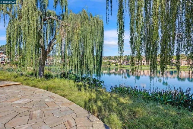 a view of a back yard