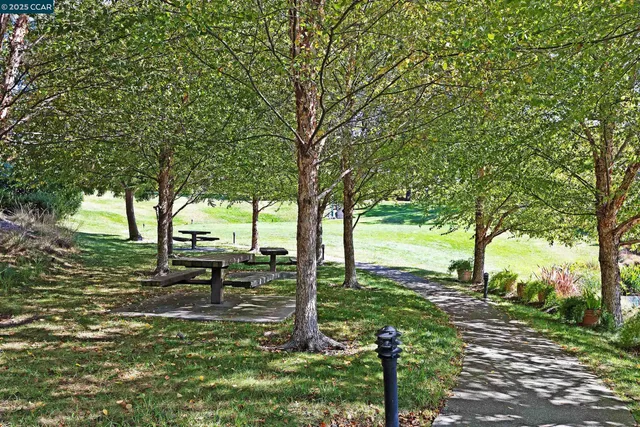 a view of park with trees