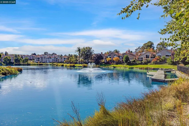 a view of a lake with houses in the back