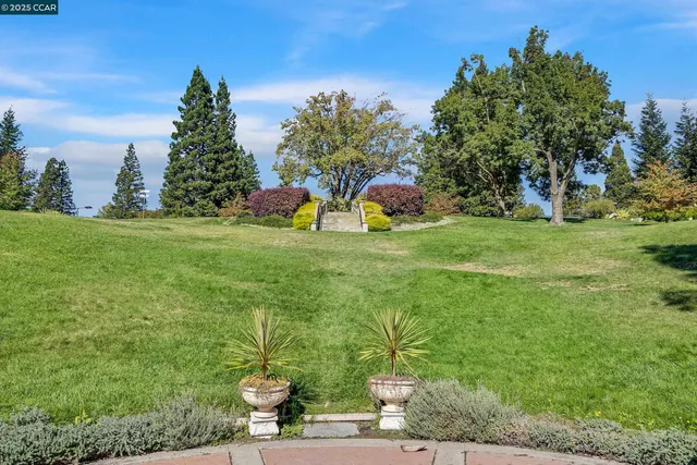 a childrens park with lots of green space and trees