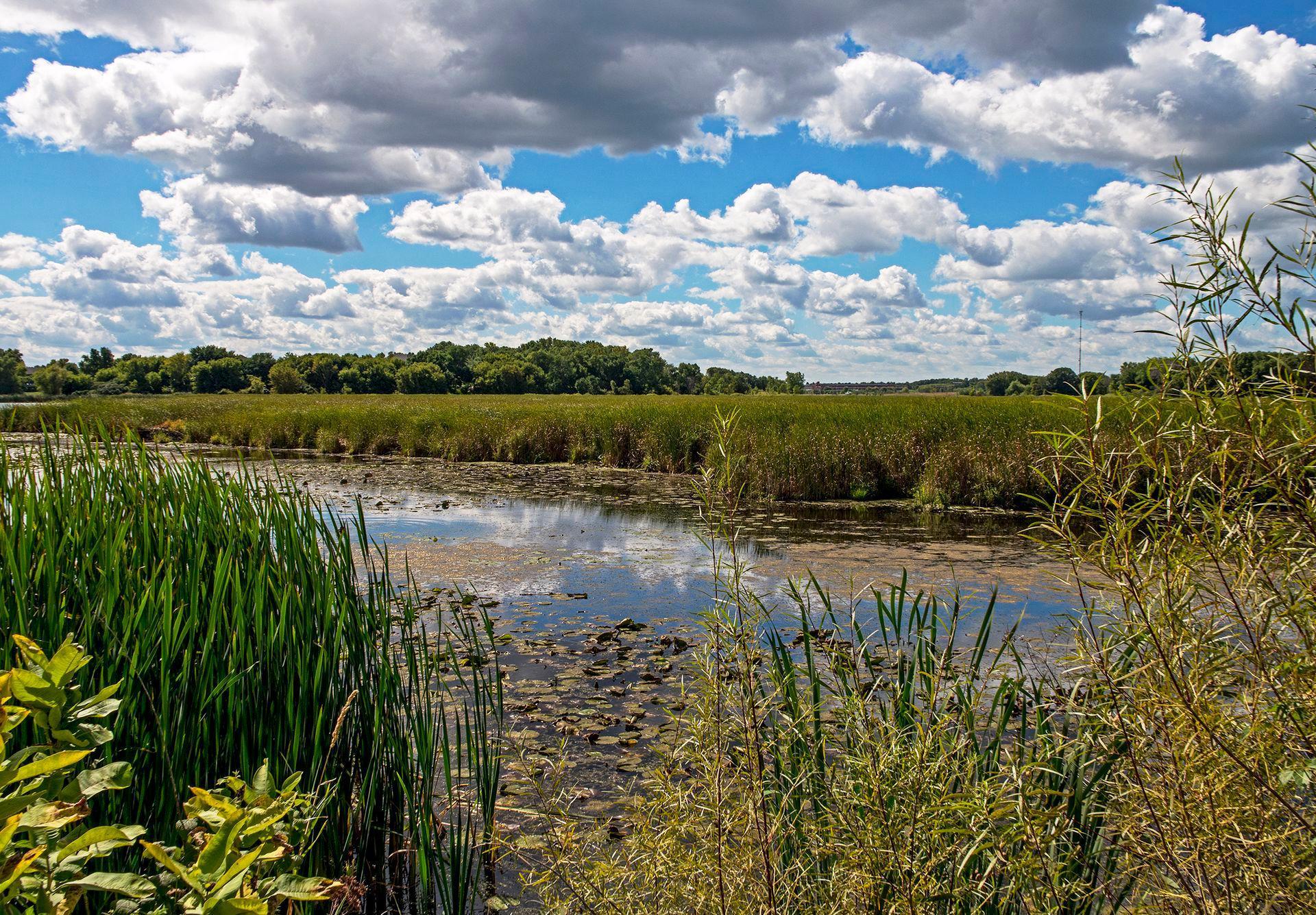 830 Fox Path Court Medina, MN 55340 - Photo 63 of 63