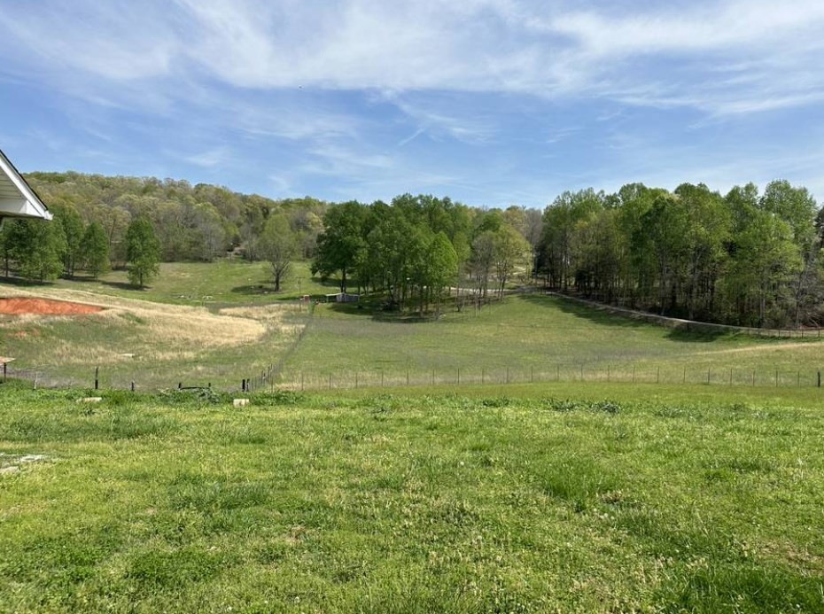 1561 Hickory Valley Road Sparta, TN 38583 - Photo 16 of 20 a view of an outdoor space and a yard