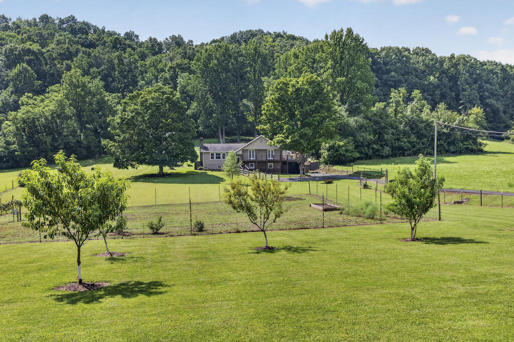 13422 Countiss Road Abingdon, VA 24210 - Photo 3 of 102 Gallery Image 3