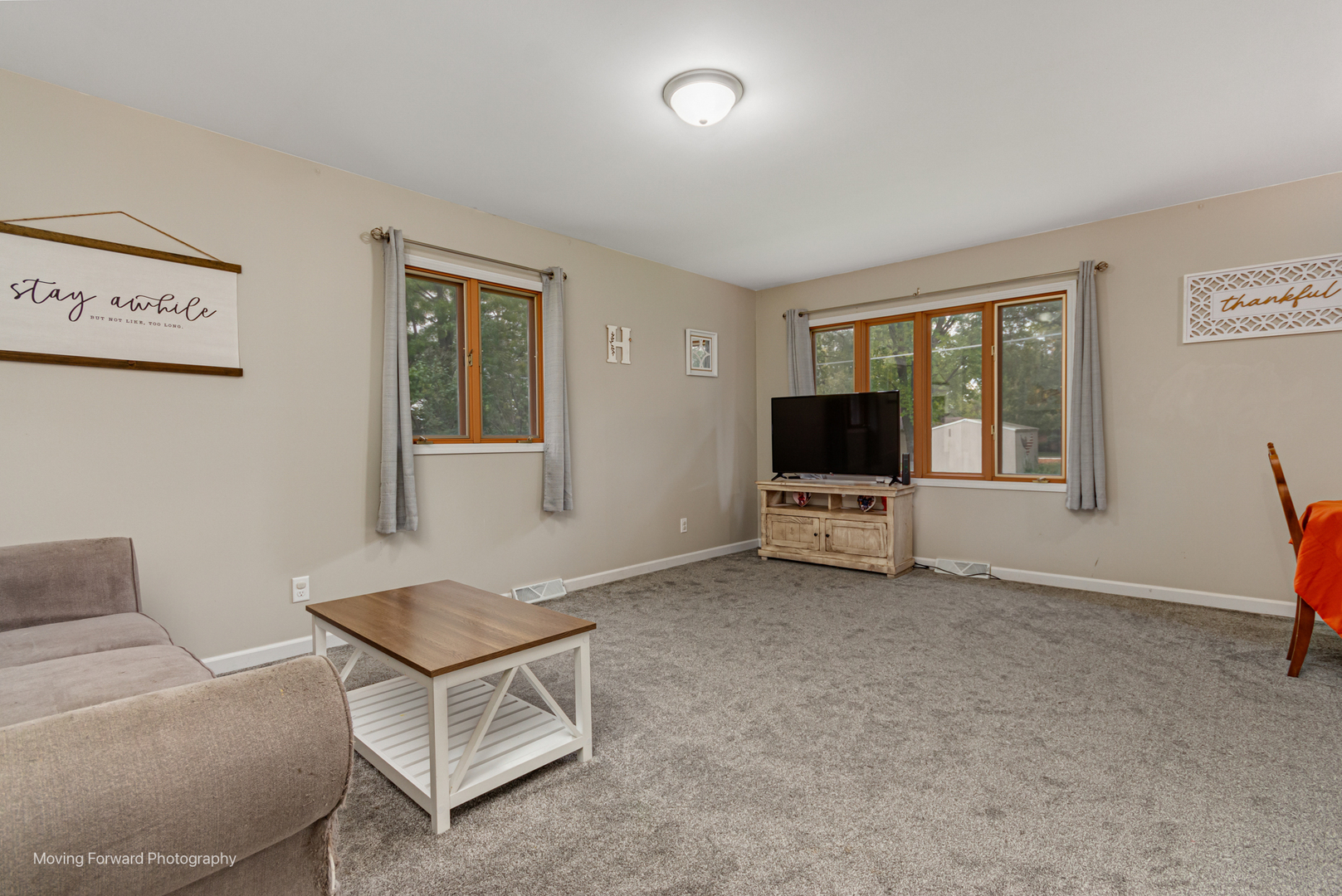 305 Prospect Avenue Dwight, IL 60420 - Photo 3 of 27 a living room with furniture and a flat screen tv