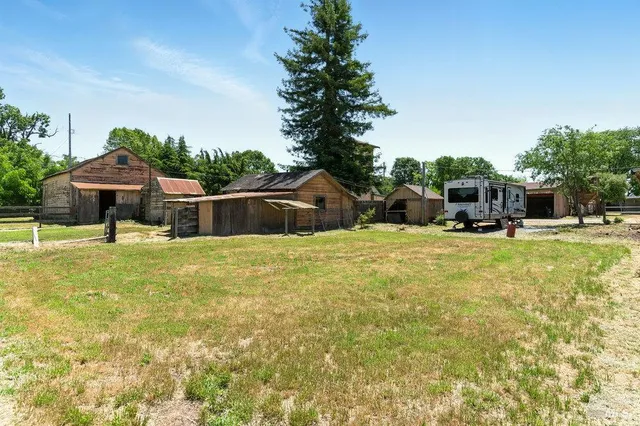 a view of a swimming pool with lawn chairs plants and large tree